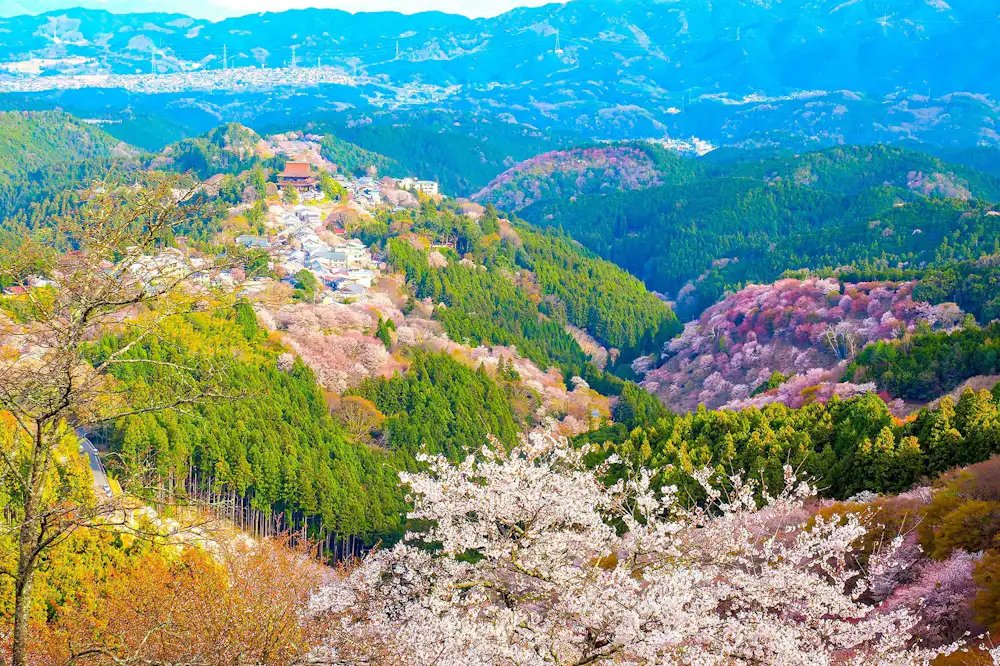 🏞️ 동운의 마을(시노노메노사토) 이미지 7